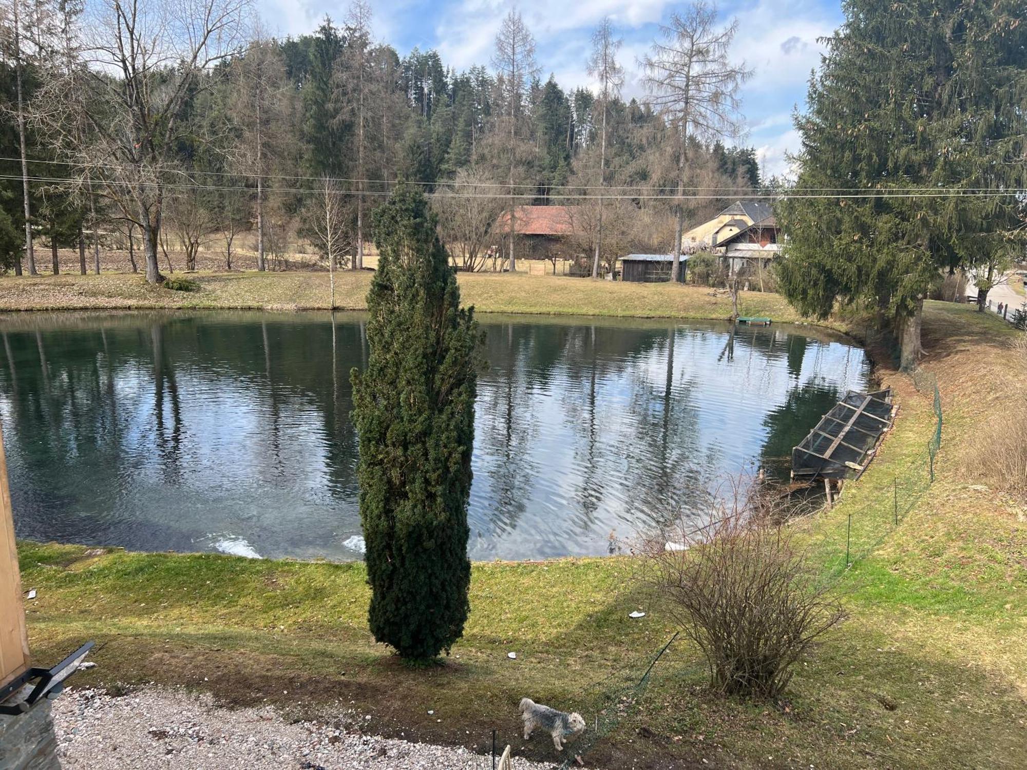 Haus Am Fischteich Apartman Feistritz ob Bleiburg Kültér fotó