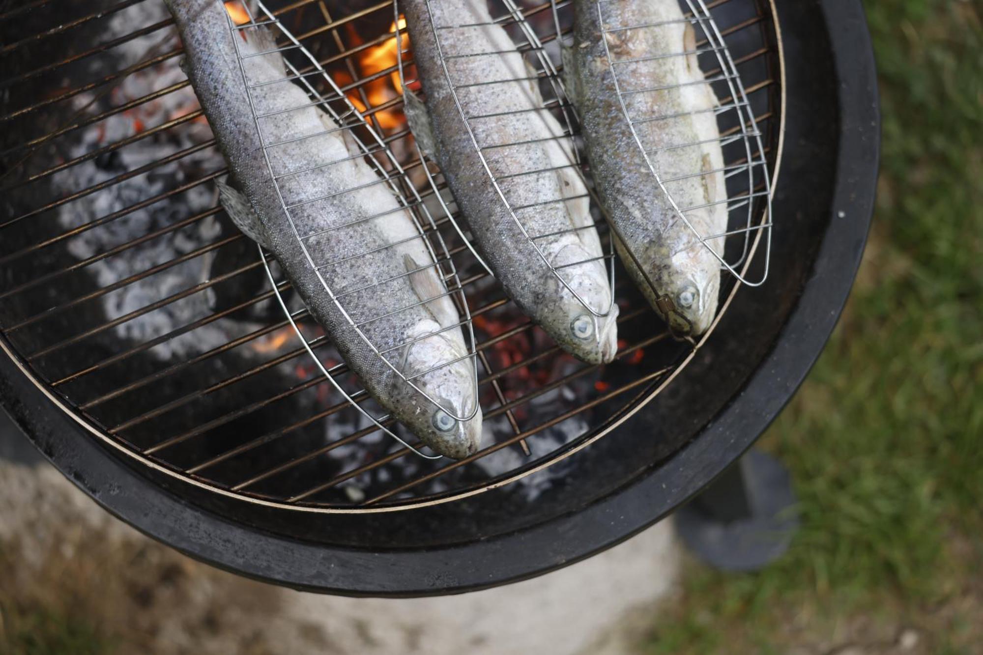 Haus Am Fischteich Apartman Feistritz ob Bleiburg Kültér fotó