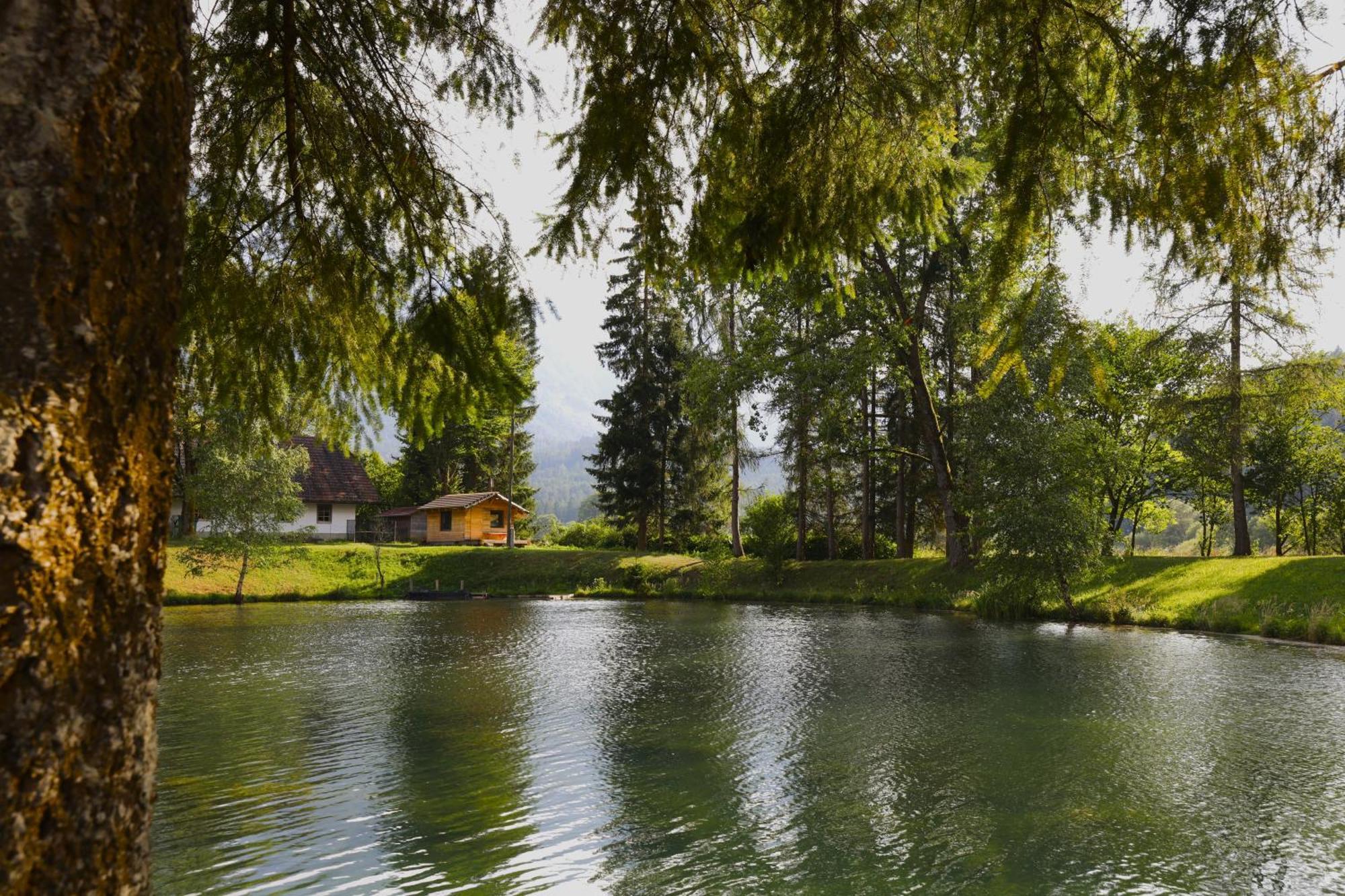 Haus Am Fischteich Apartman Feistritz ob Bleiburg Kültér fotó