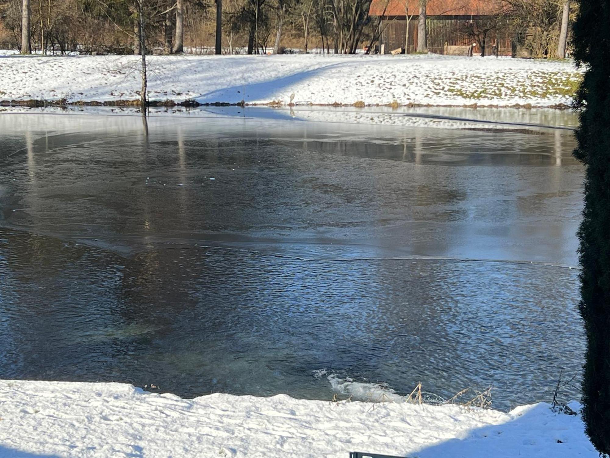 Haus Am Fischteich Apartman Feistritz ob Bleiburg Kültér fotó