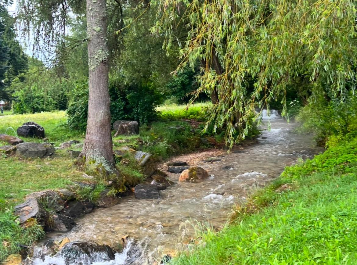 Haus Am Fischteich Apartman Feistritz ob Bleiburg Kültér fotó