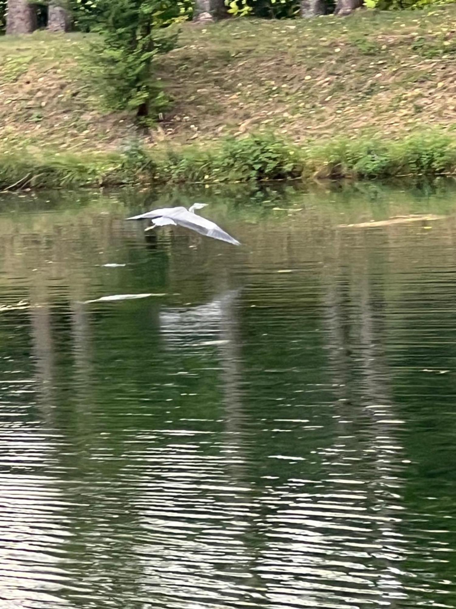 Haus Am Fischteich Apartman Feistritz ob Bleiburg Kültér fotó