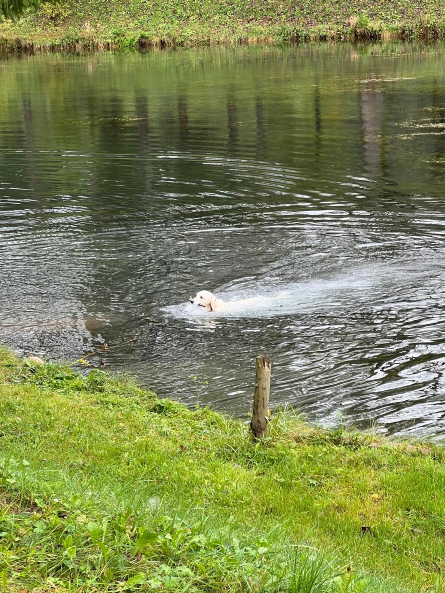 Haus Am Fischteich Apartman Feistritz ob Bleiburg Kültér fotó